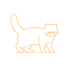 Animals Cats Exotic Shorthair Cat Craft Design Svg File, Free Vectors File
